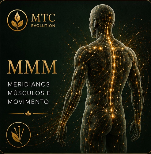 MMM — Meridianos Músculos e Movimento